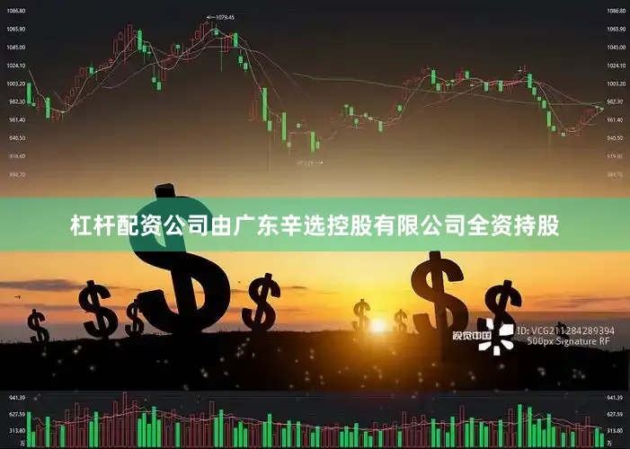 杠杆配资公司由广东辛选控股有限公司全资持股